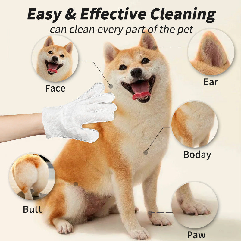 Dog being cleaned with a gloved hand, showing cleaning areas like face, ear, body, butt, and paw.